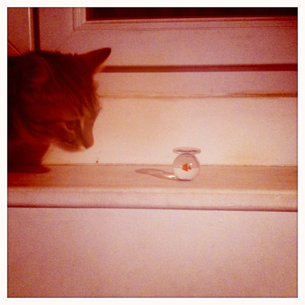 Hip 328133437.463222