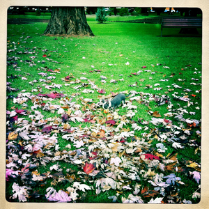 Hip 327725676.923830