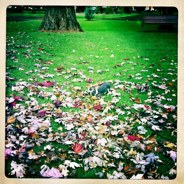 Hip 327725676.923830