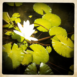 Hip 336018834.185049