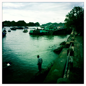 Hip 335428337.507543