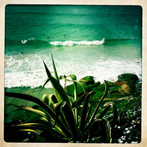 Hip 336097963.823764