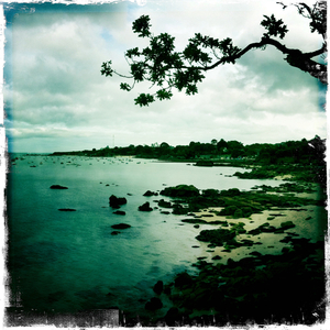 Hip 333210639.092756