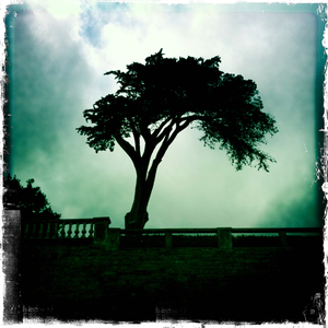 Hip 333207304.556153