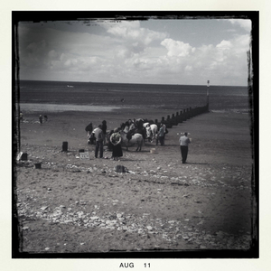 Hip 336138398.138668