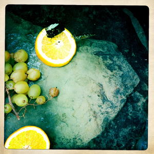 Hip 336059190.451304