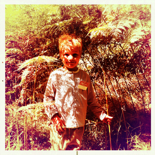 Hip 333625080.397075