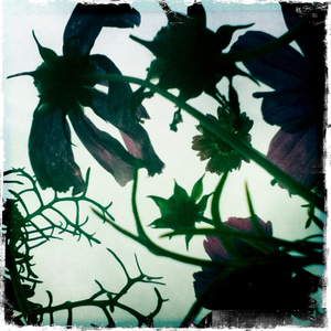 Hip 335982823.742086