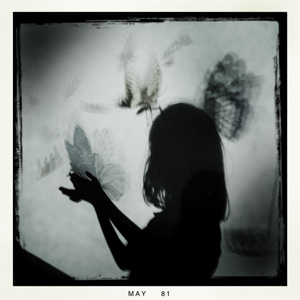 Hip 328552968.429987