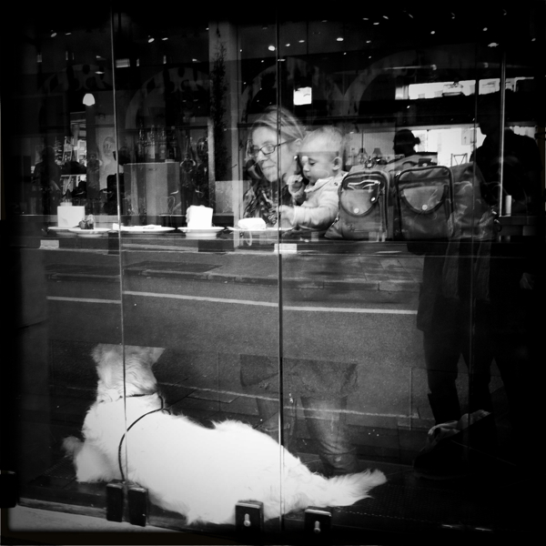 Hip 336145428.922162