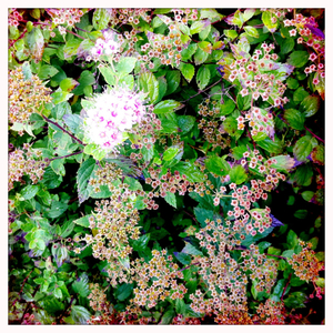 Hip 336143429.953344