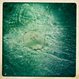 Hip 335984270.428360