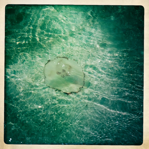 Hip 335984270.428360