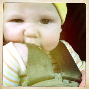 Hip 335565573.549181