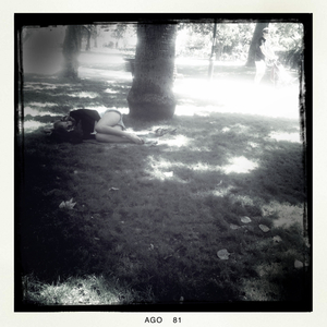 Hip 336137633.680491