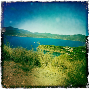 Hip 336127422.109194