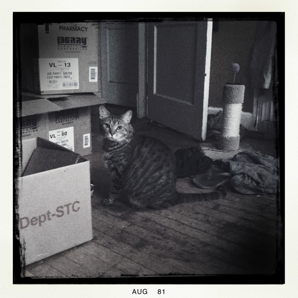 Hip 335706259.486239