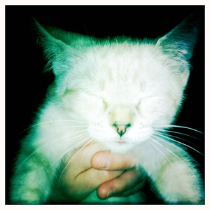 Hip 335155410.091817