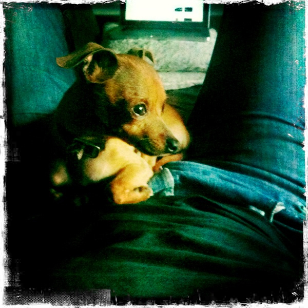 Hip 335157420.586183