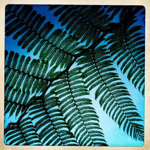 Hip 328416194.373501