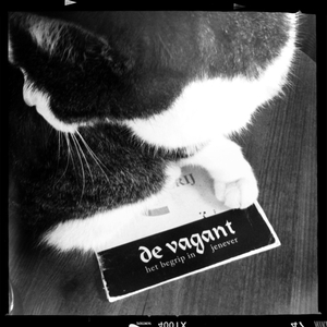 Hip 335789624.454371