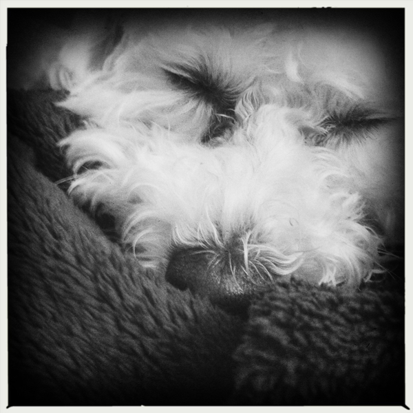 Hip 336102648.404561