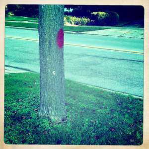 Hip 335967670.732786