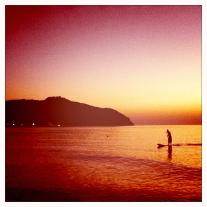 Hip 335816734.359639