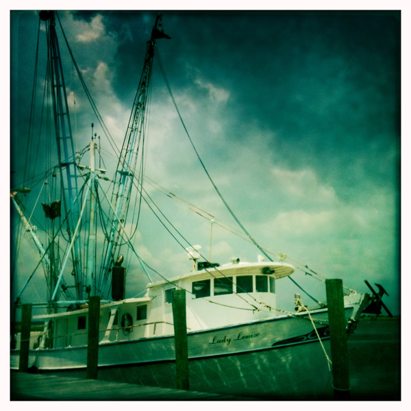 Hip 335813649.651058