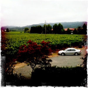 Hip 336157505.377384