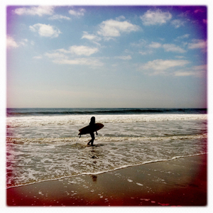 Hip 336067510.231609