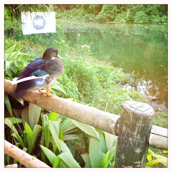 Hip 335738639.370720