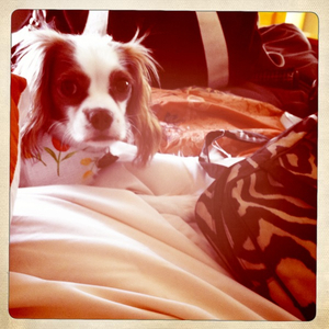 Hip 336158143.036312