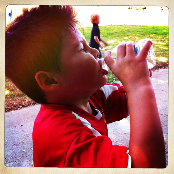 Hip 336160113.199979