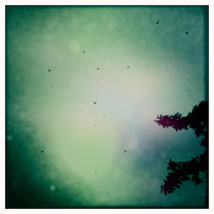 Hip 336159844.386546