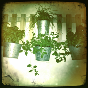 Hip 336022526.476153