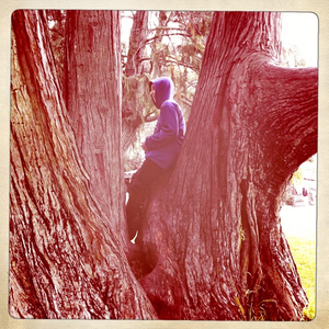 Hip 336164100.717345