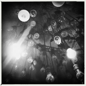 Hip 335428778.540505