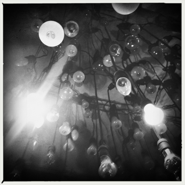 Hip 335428778.540505