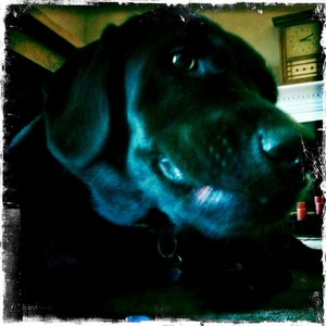 Hip 336165177.271429