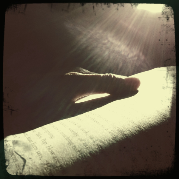 Hip 333072823.597465