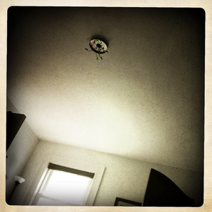 Hip 336166125.710242