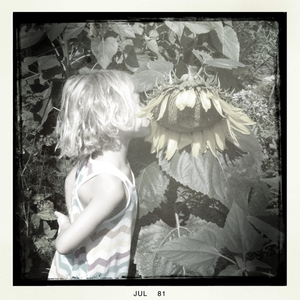 Hip 332784699.665575