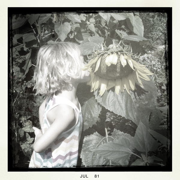 Hip 332784699.665575