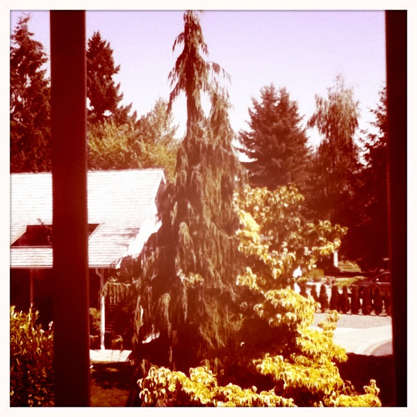 Hip 336169002.666338