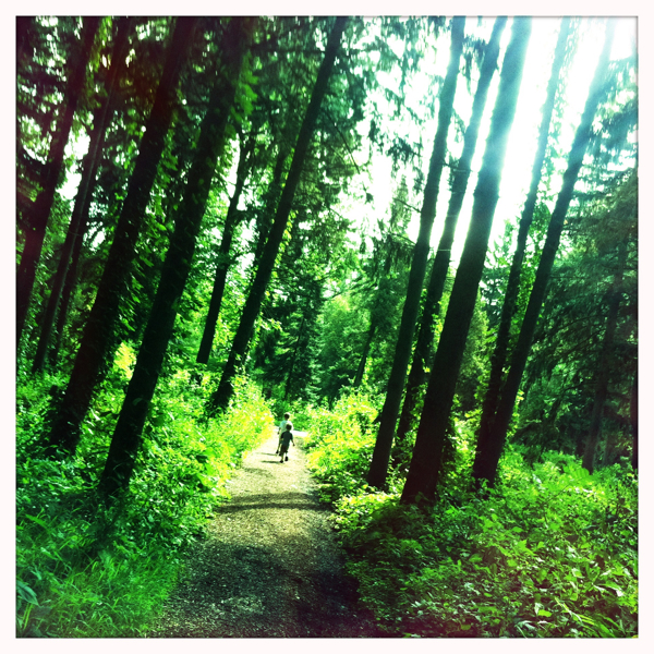 Hip 335025392.560098