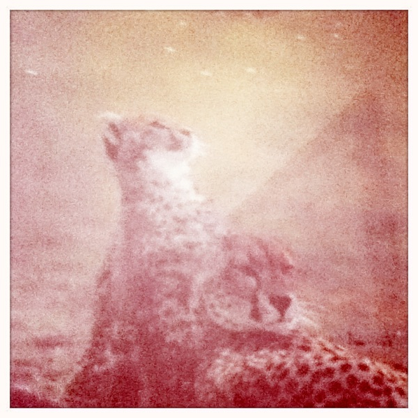 Hip 336169525.237398