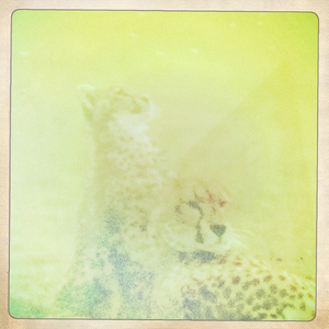 Hip 336169578.419734