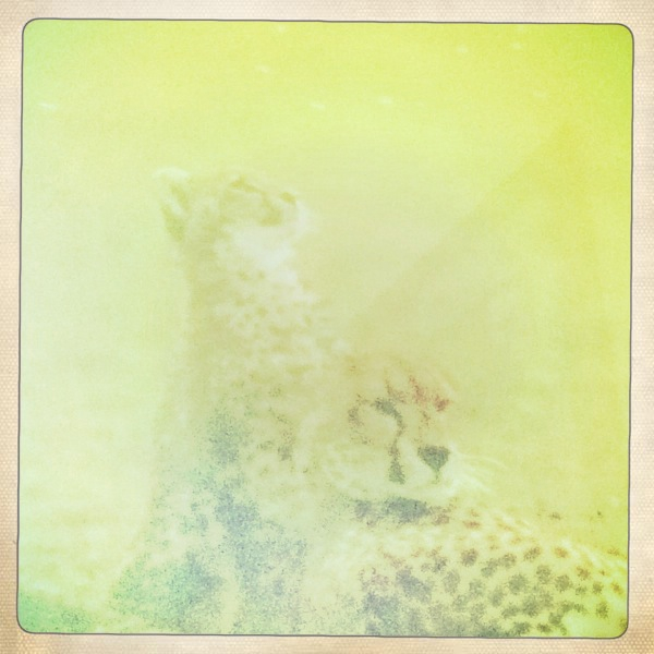 Hip 336169578.419734