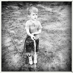 Hip 335570569.177194